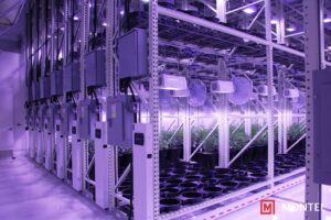 The Grove SafeAisle GreenRAK