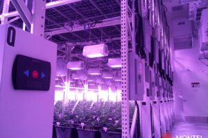 The Grove SafeAisle GreenRAK