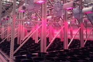 Agriculture Mobile Shelving Storage