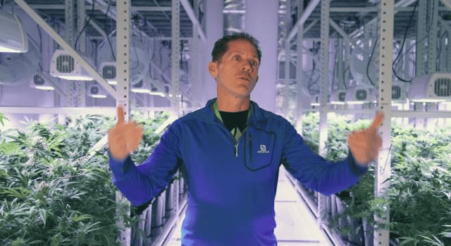Mobile vertical grow rack system helped the grove increase yields and maximize profits