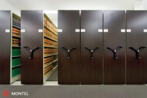 Government Mobilex® System